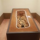 군산대학교박물관 이미지