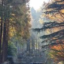 장태산의아침 이미지