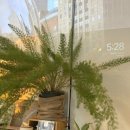 망우역 | 상봉역 소금빵 맛집, 망우역 카페 허밍버드 감성카페 후기 🥐🤍