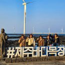 바언제주(바람의언덕) | 제주 택시투어 요금 완벽정리! 친구 5인 1박2일 제주도 여행