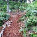 고실농장 이미지