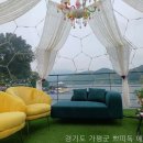 쁘띠독 | 쁘띠독 애견펜션 경기도 펜션, 여기서 반려견과 진짜 힐링할 수 있을까?