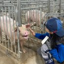 선은농장 이미지