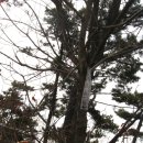 장재삼거리 이미지