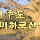 새미하로산당 이미지