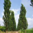 소람행정사합동사무소 이미지