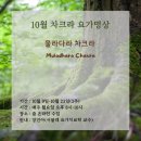 10월 '물라다라 차크라' 요가명상 수련(줌, 3주) 이미지