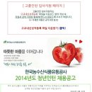 한국농수산식품유통공사 채용 / 2014 청년인턴 채용 - 고졸인턴 (~4/25 18시) 이미지