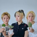 송피싱 이미지