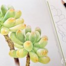 당신의 꽃그림, 보태니컬 아트 이미지