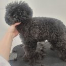 멈머링(mummuring) 이미지