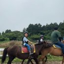 아이랑 제주 여행, 목장카페 드르쿰다 솔직후기