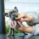 몽몽이하우스 인천연수점 이미지