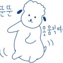 88강정 이미지