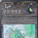안산자락길 티스토리