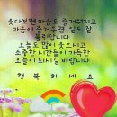 가야마루 이미지