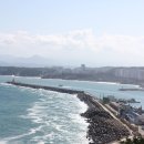 묵호바다협동조합 이미지