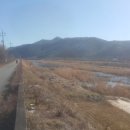 수양공인중개사사무소 이미지