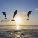 국립해양박물관 공연장 이미지