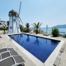 팜풀빌라 이미지