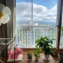 삼화제4근린공원 이미지