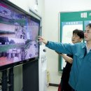 고양이당 이미지