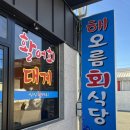 해오름식당 | 경주 감포 해오름회식당 모듬회 후기｜바다 보며 먹는 제대로 된 회 한상