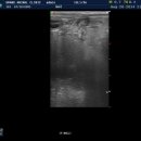 그랜드24시동물병원 이미지