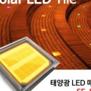 썬플라워 에너지 이미지