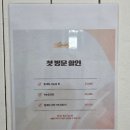 만현로 | 용인 상현동 네일샵 젤연장 잘하는 곳 양나나 감쪽같은 젤연장 후기