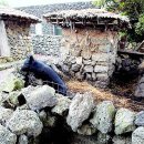 수수께끼 이미지