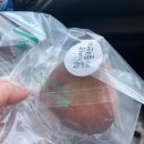 일로5일시장(1) 이미지