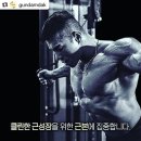 [건담닭] 김건우 보디빌더 클린 다이어트 식단 통가슴살 3종 후기