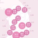 개화(아) 티스토리