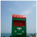 소망전자
