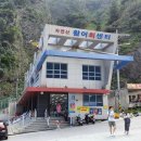 도동활어회센터