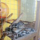 점말농장 이미지