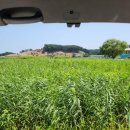 남대천약국 이미지