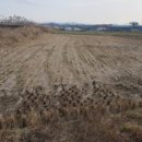 나주시왕곡면월천리보건진료소 이미지