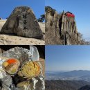 로또김밥 | 관악산 초보 등산 코스 추천 관악산 김밥 오월의김밥 후기