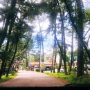 몽산142 이미지