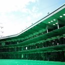 더 그레이스 골프 이미지