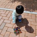[4월 3주] 미술-나비 썬캐쳐 만들기 / 공원에서 나비찾기 이미지