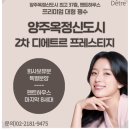 양주옥정신도시 디에트르 프레스티지(대방2차) 네이버블로그