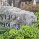 오동나무어린이공원 이미지