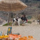 신영농장 이미지