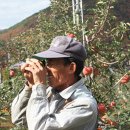 대박농장 이미지