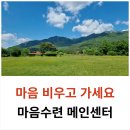 여긴 꼭 가봐야 돼! 마음수련 메인센터에서 찾은 힐링 포인트 BEST 3