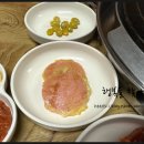 고향맛돈 이미지