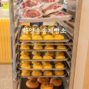 하양 송송 제빵소 디저트 맛집 대형카페 추천